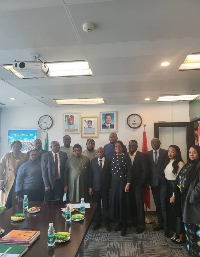 Nigeria Consulate Shanghai